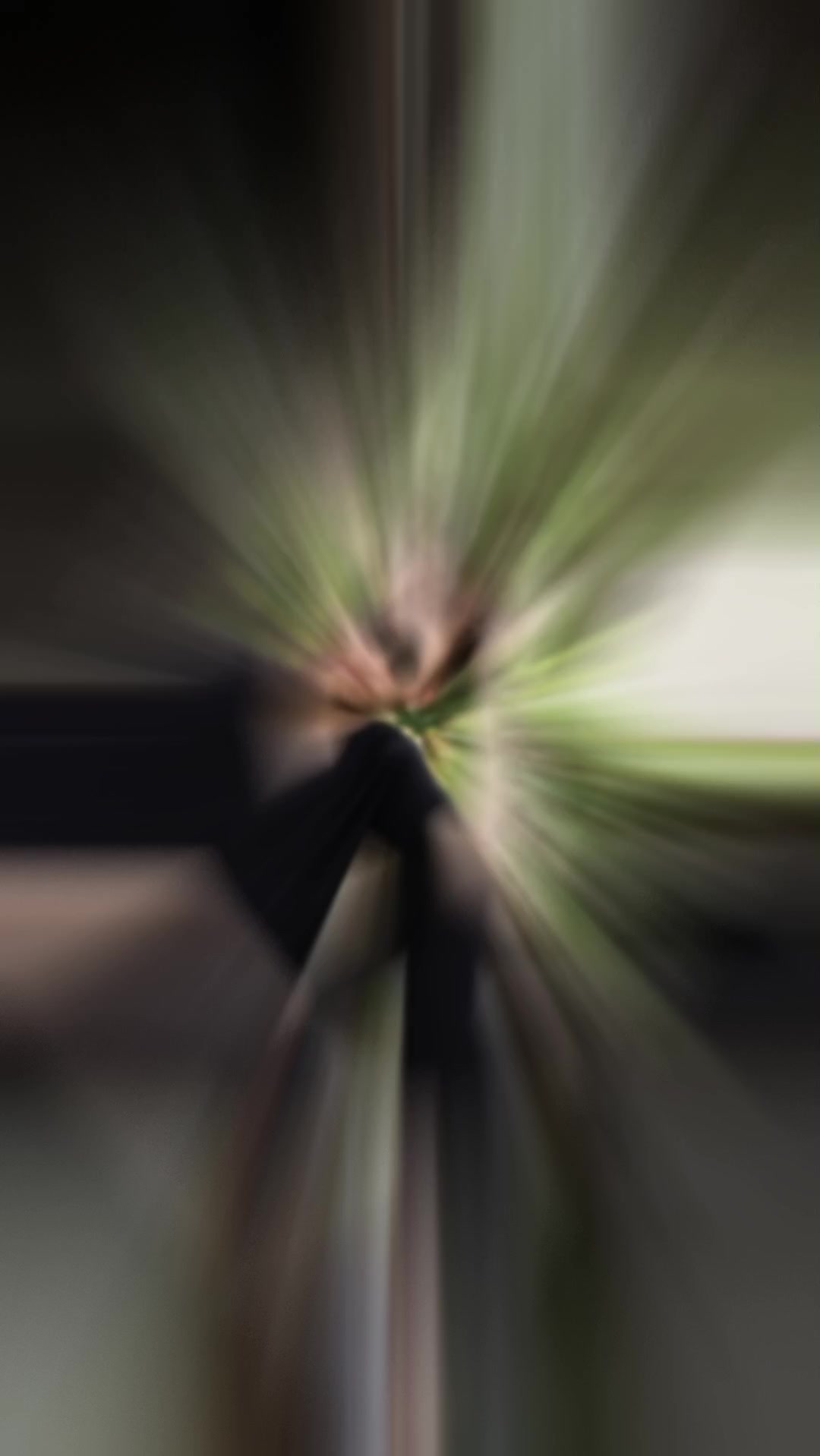 @ツﻬஐﻬ 🅶🅸🆉🅴🅼🅻🅸 🅰🅳🅰🅼 ﻬ