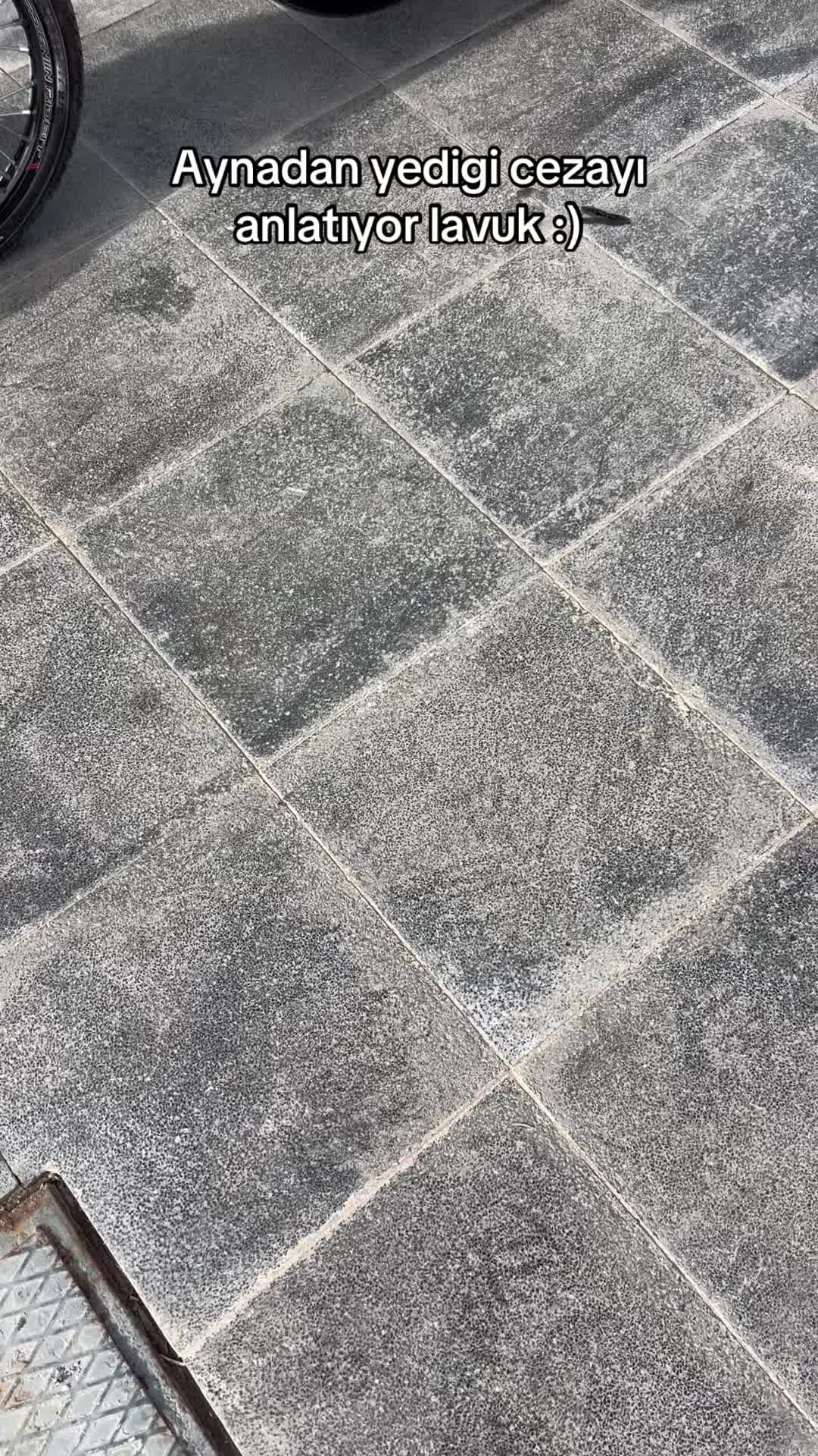 @𝐌𝐞𝐡𝐦𝐞𝐭 𝐂𝐚𝐧