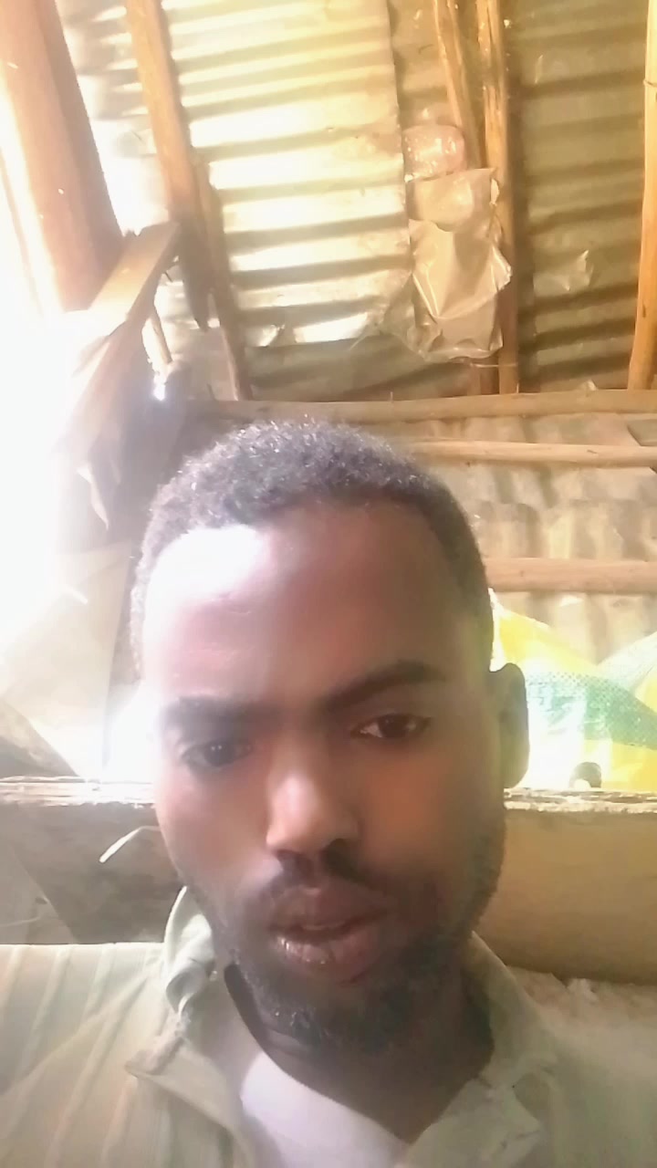 @tolii.koo
