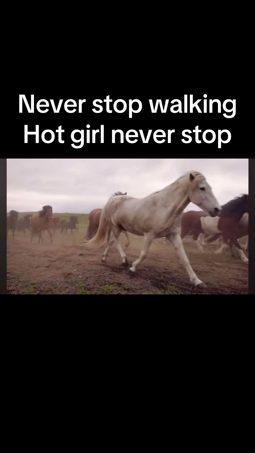 @mialindhotgirlwalk