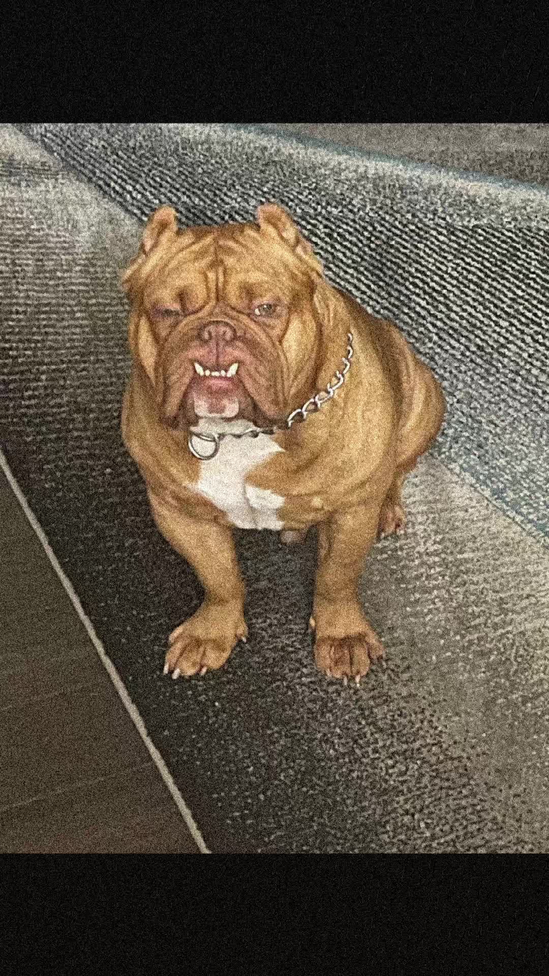 @CalleeGpaw