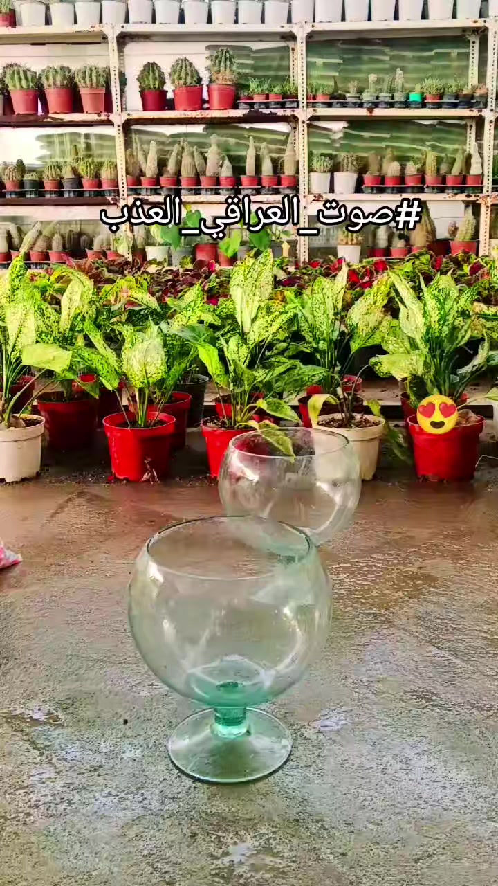 @🍂گوردسـتآنيـﮯ✨ عمـر 🌺