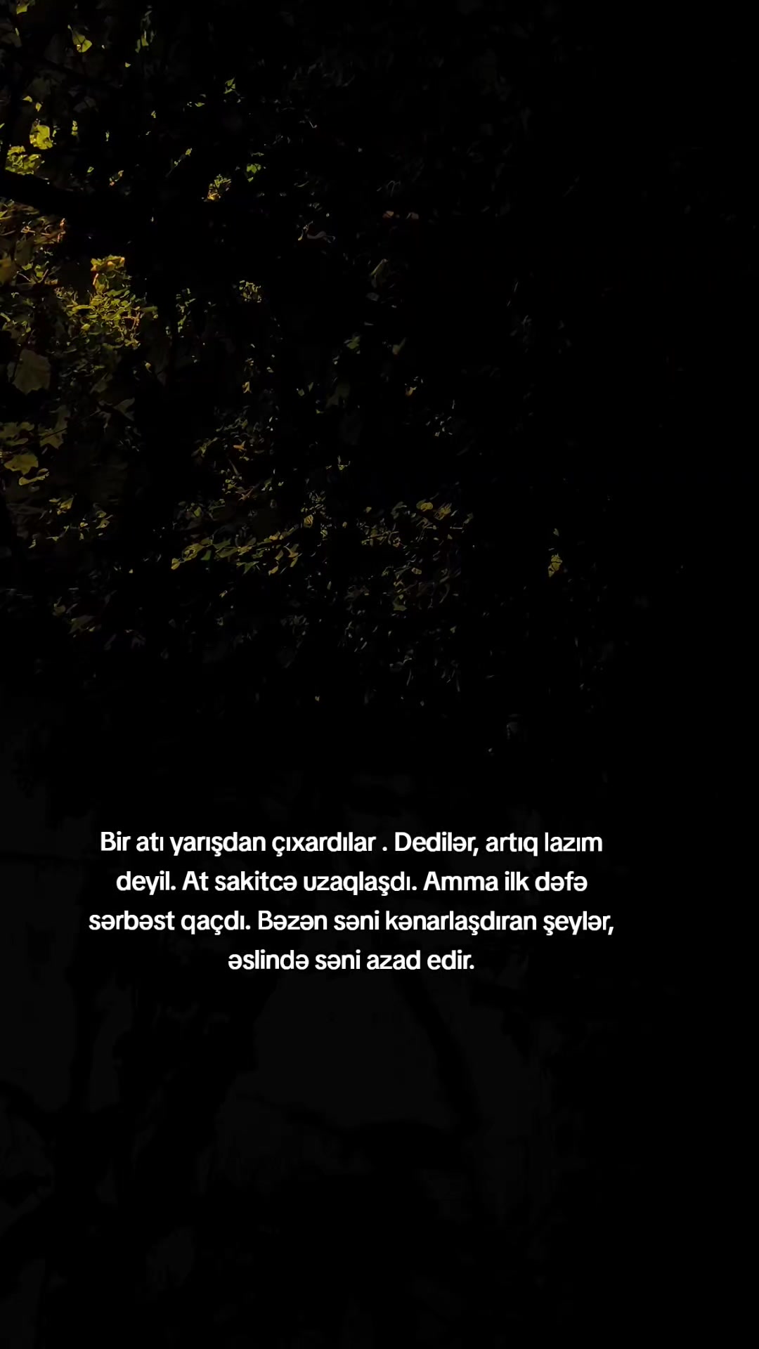 @Qruz Vaxtı