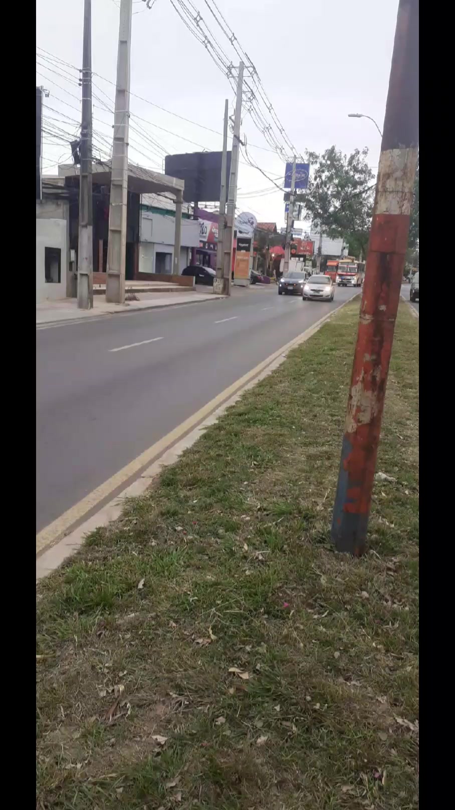 @💯PEDRITO BUSES 🔥 🇵🇾