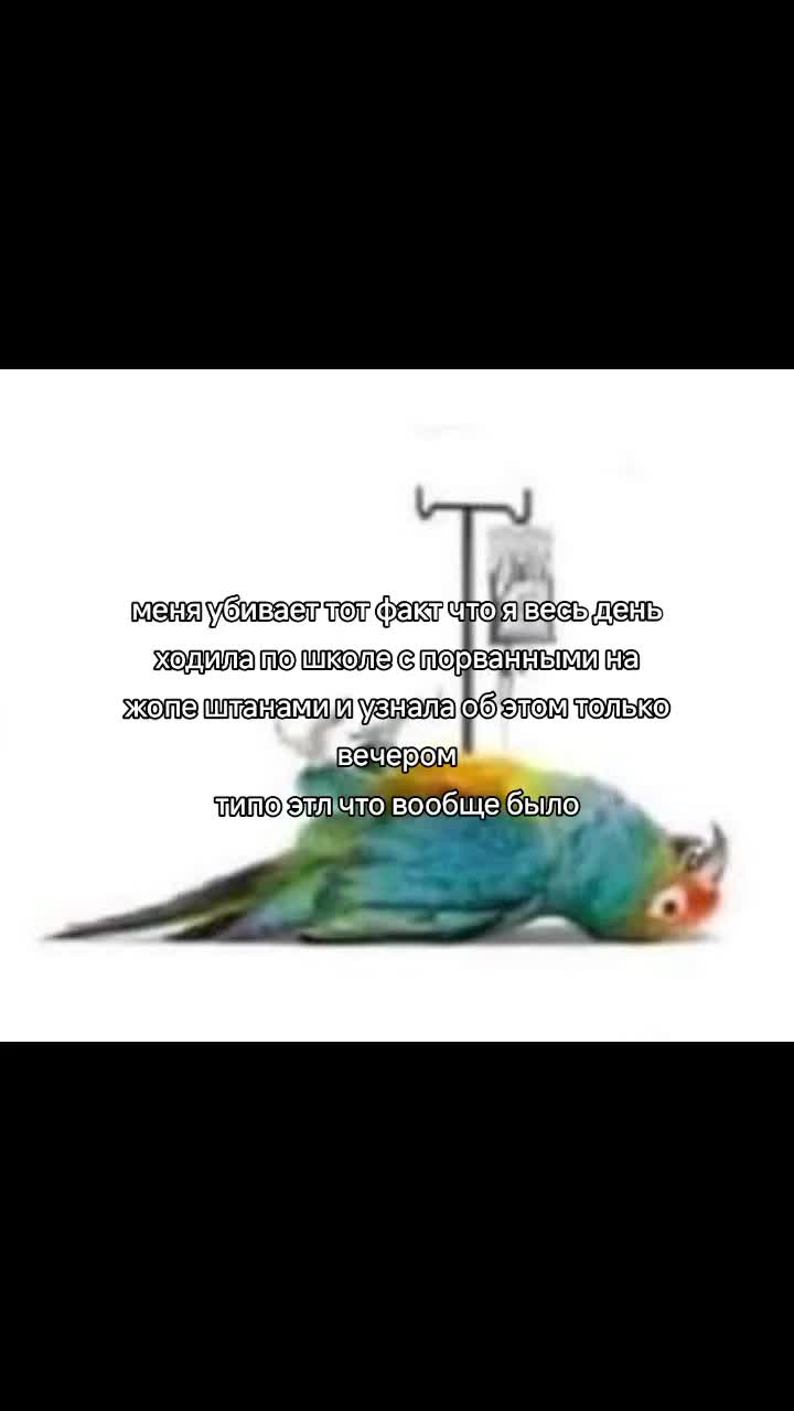 @тайлер сочный