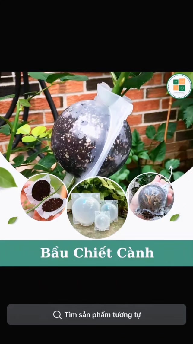 @tới đồ d&ugrave;ng