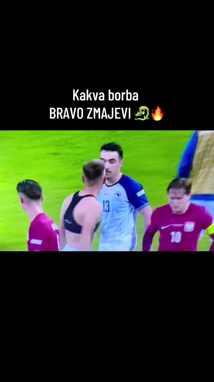 @bosnia.ai