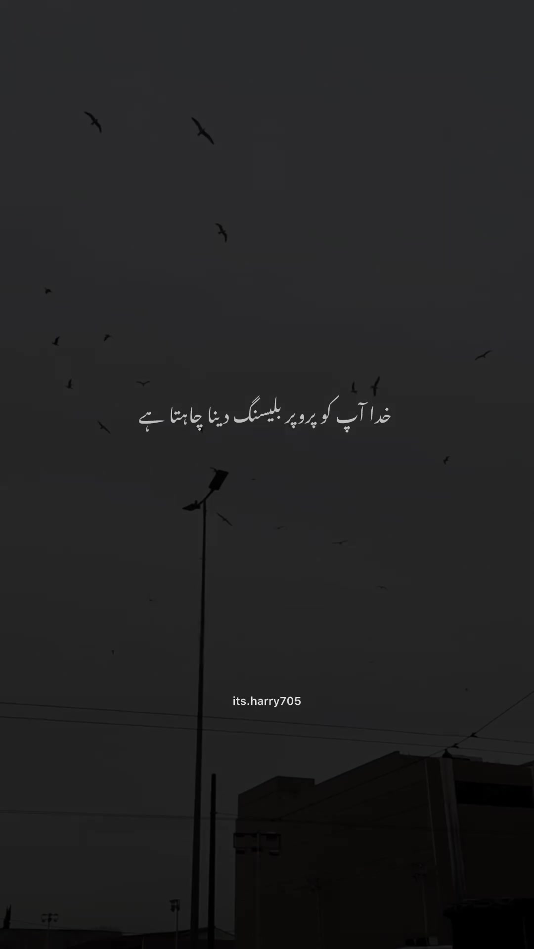 @𝗛𝗮𝗿𝗿𝘆