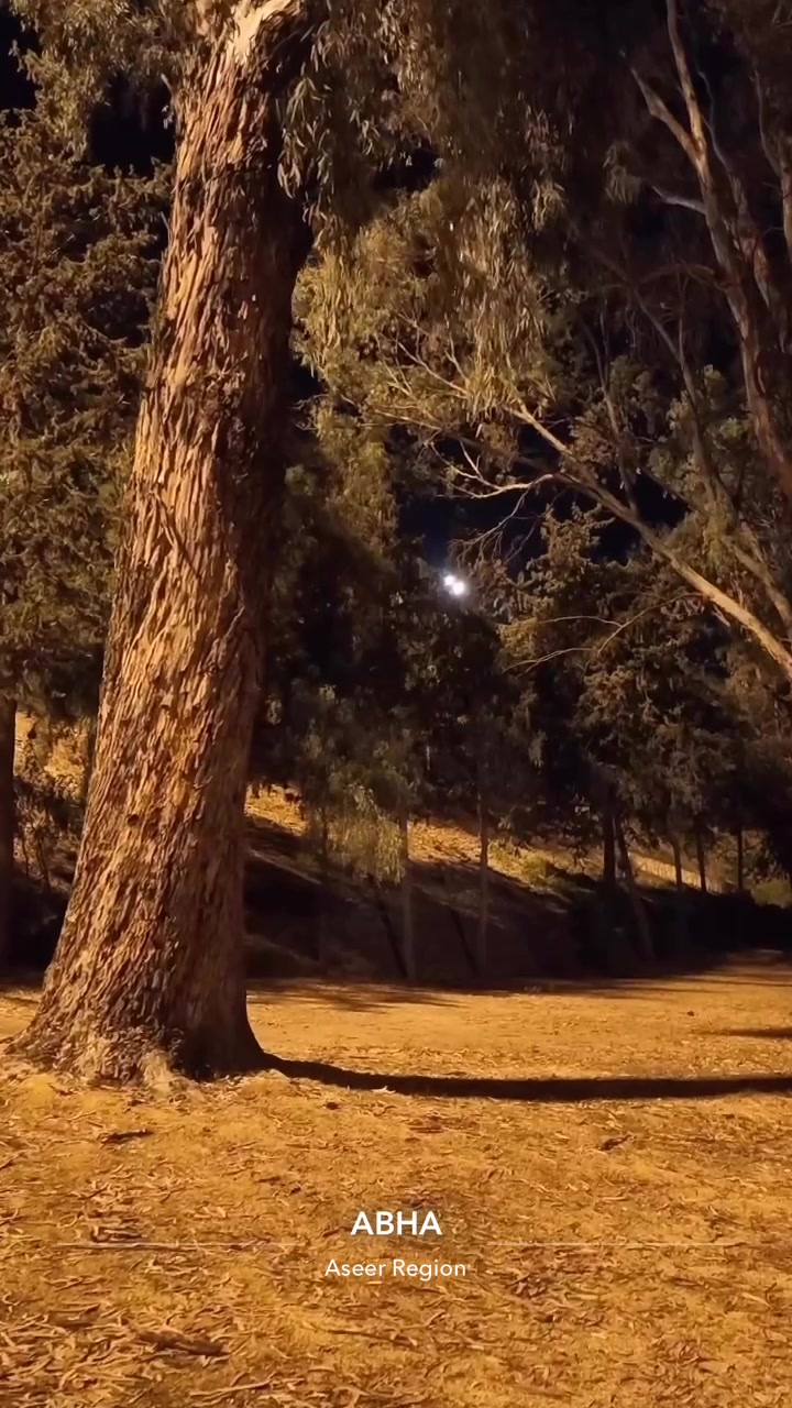 @هيا | Haya