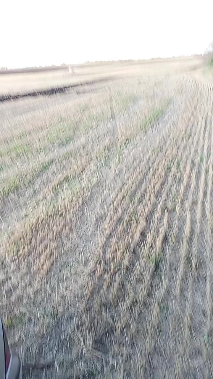 @килька