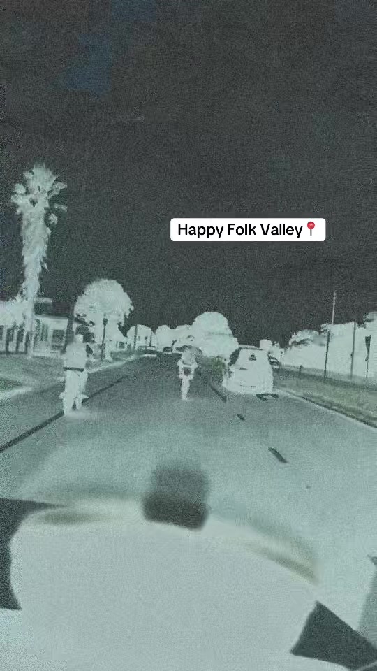 @Folk Valley