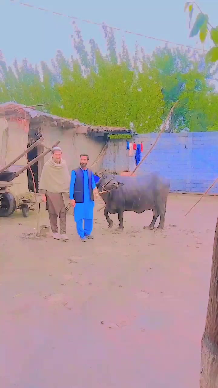 @Rihan khan