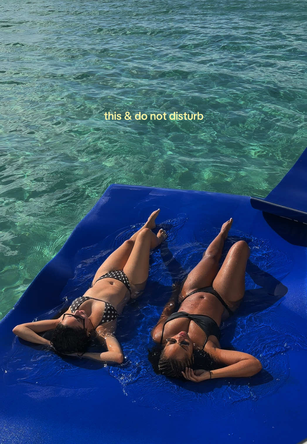 @stephanie ౨ৎ