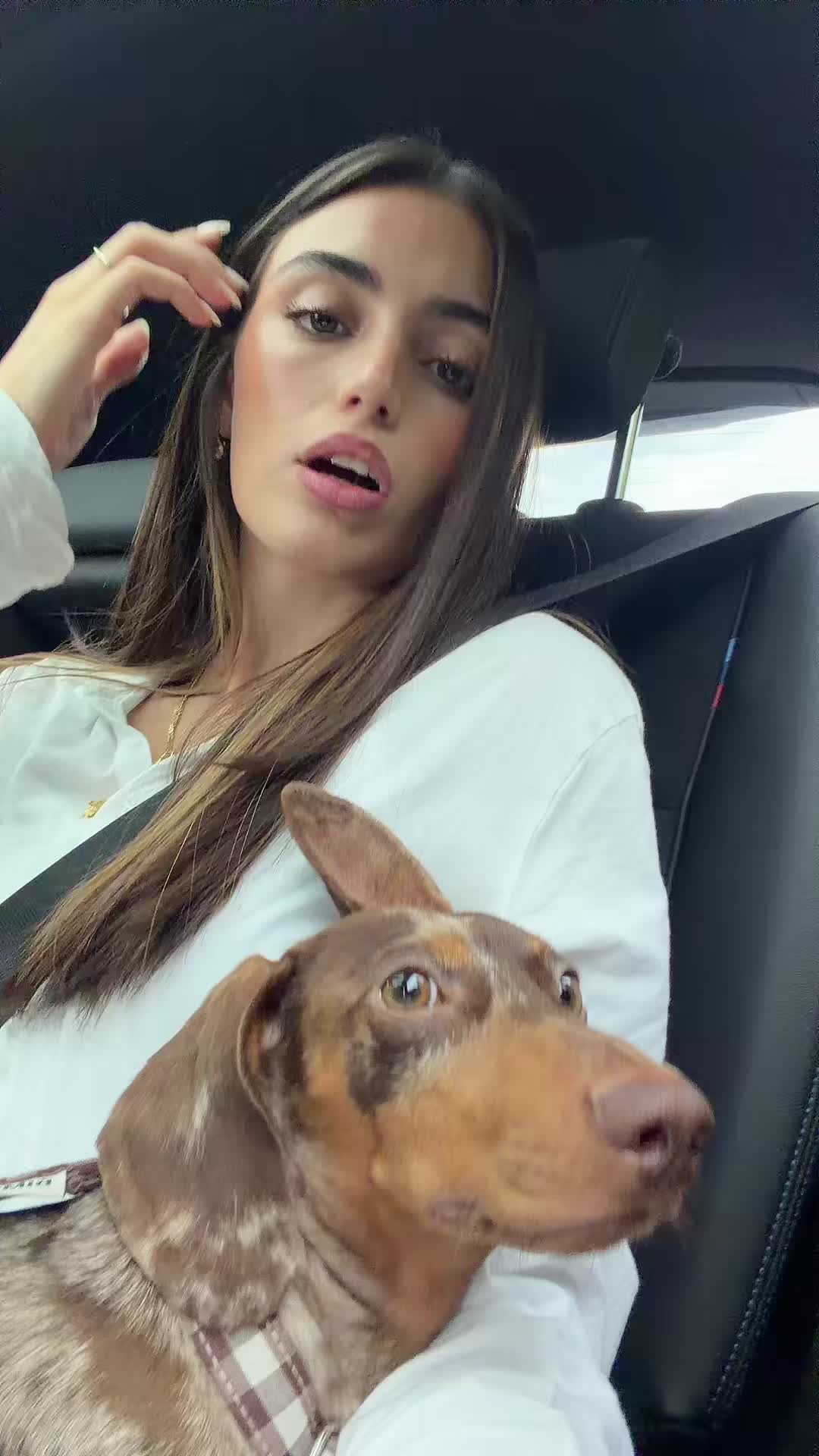@mai