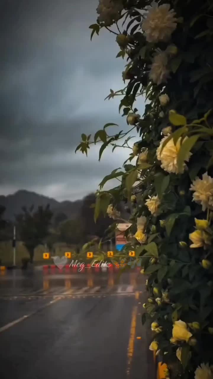 @🔥么那尬MeG๛💪💛