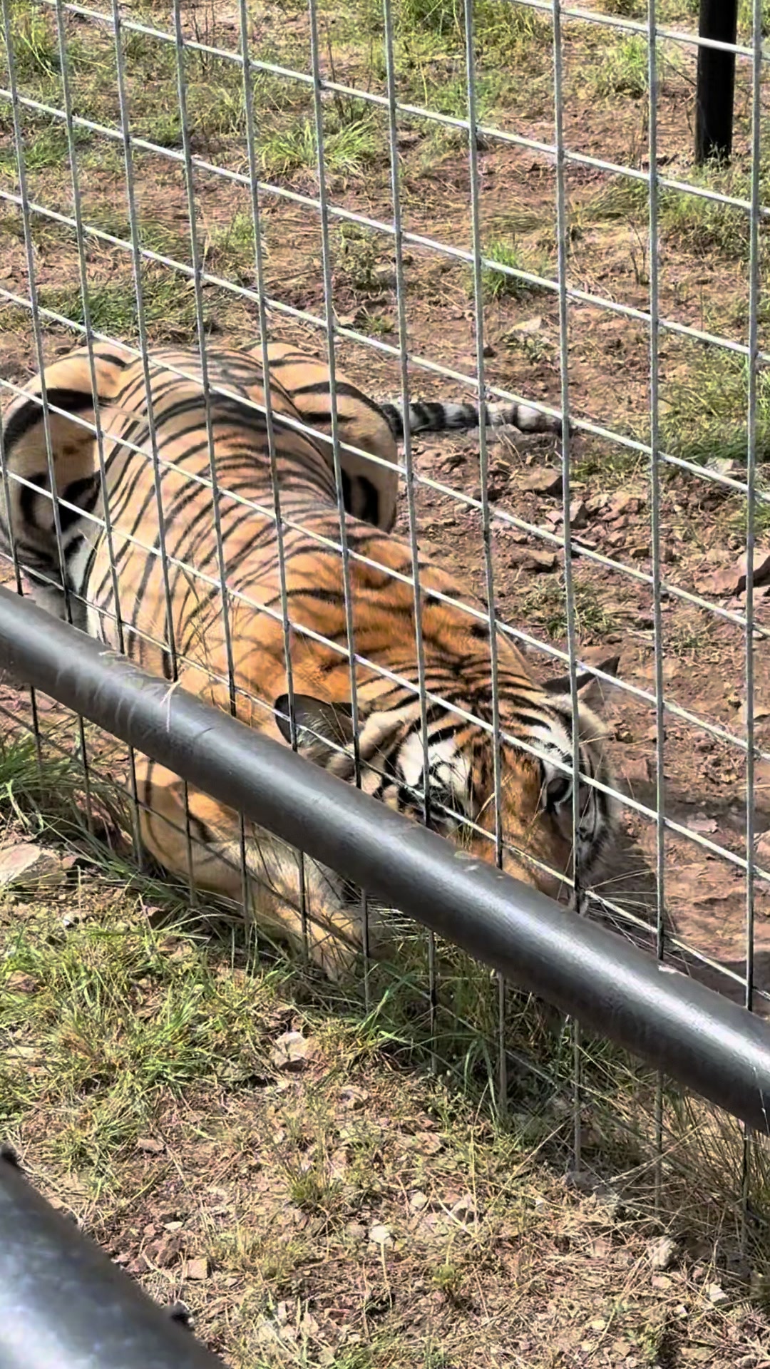 @Texas Wildlife Park