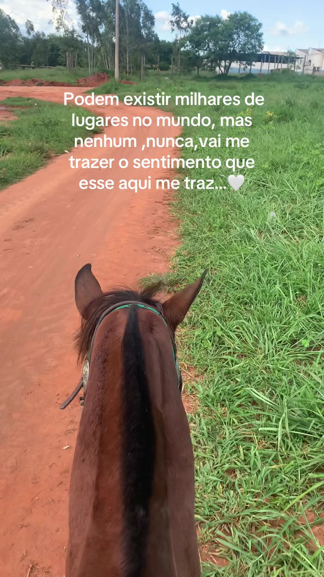 @Pavanelo🩶