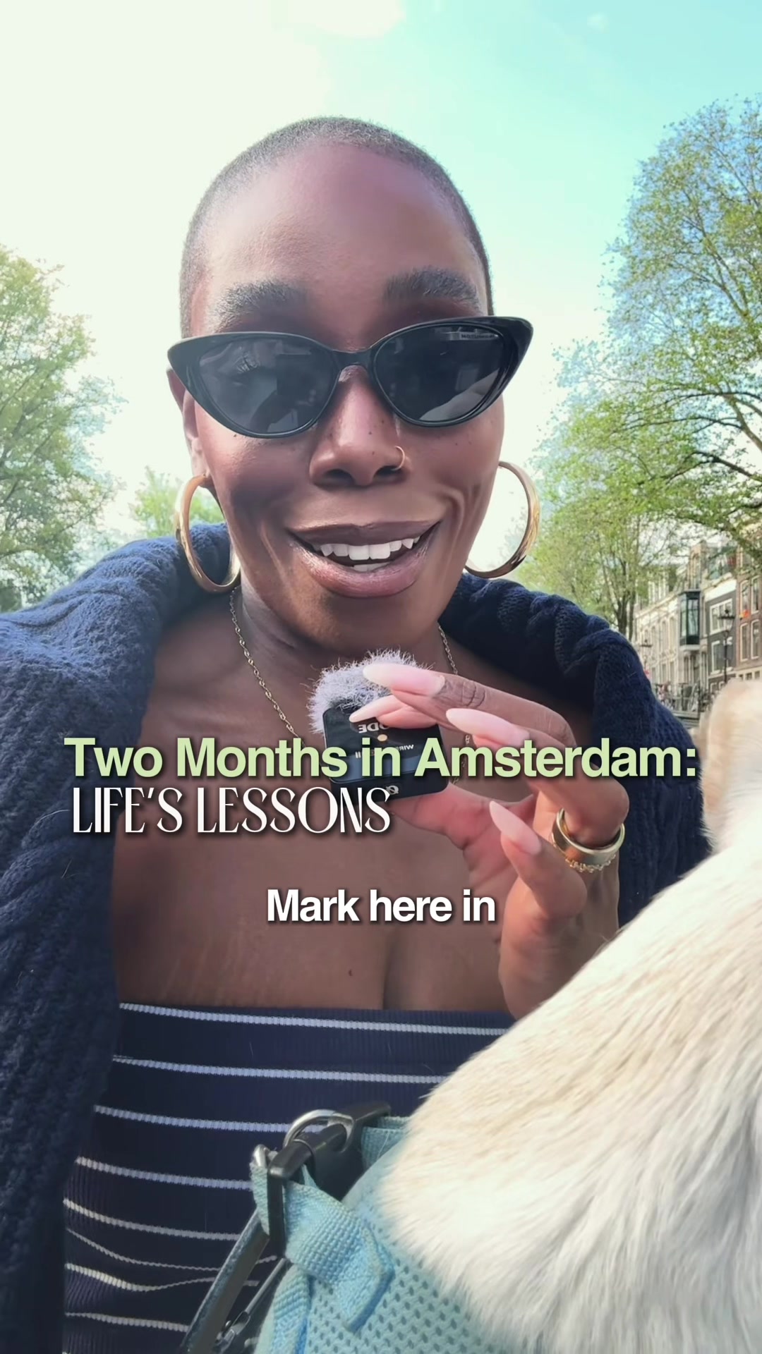 @Shanarra | CEO & SaaS Founder