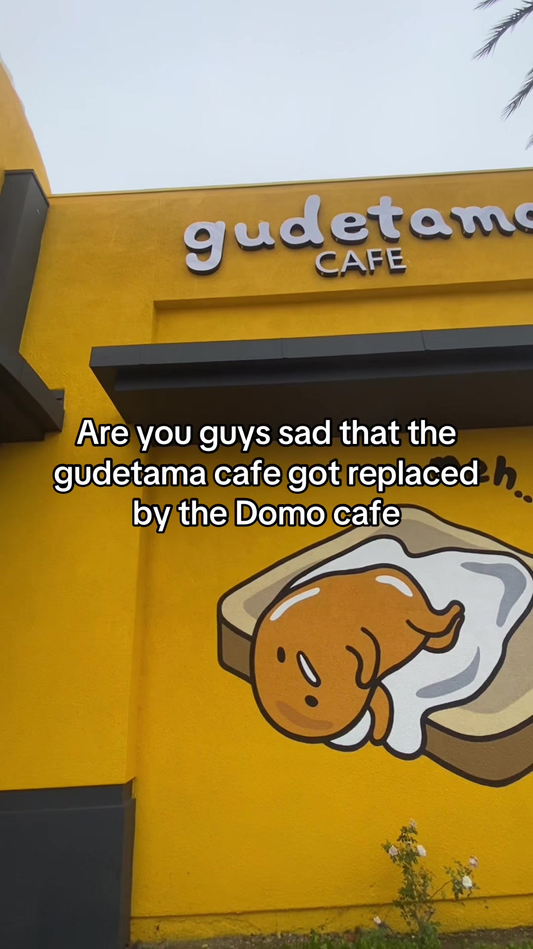 @Monster Mia
