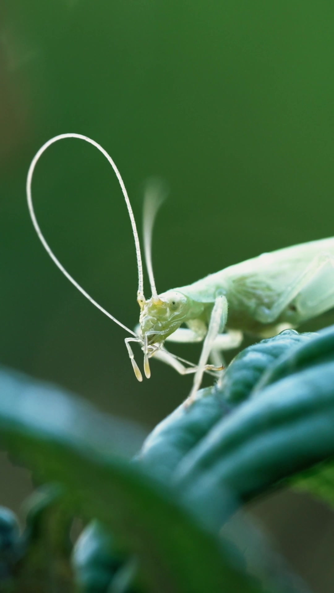 @Nature is Surreal