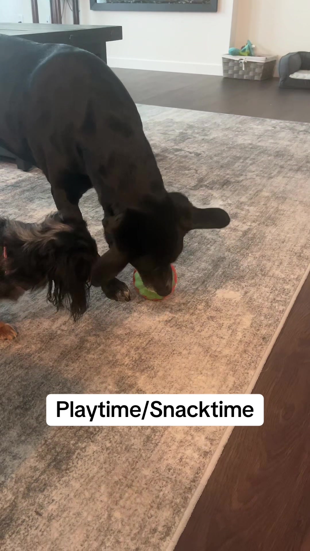 @snackdealer80