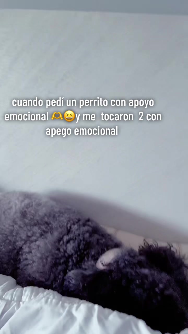 @Natalia Escobar