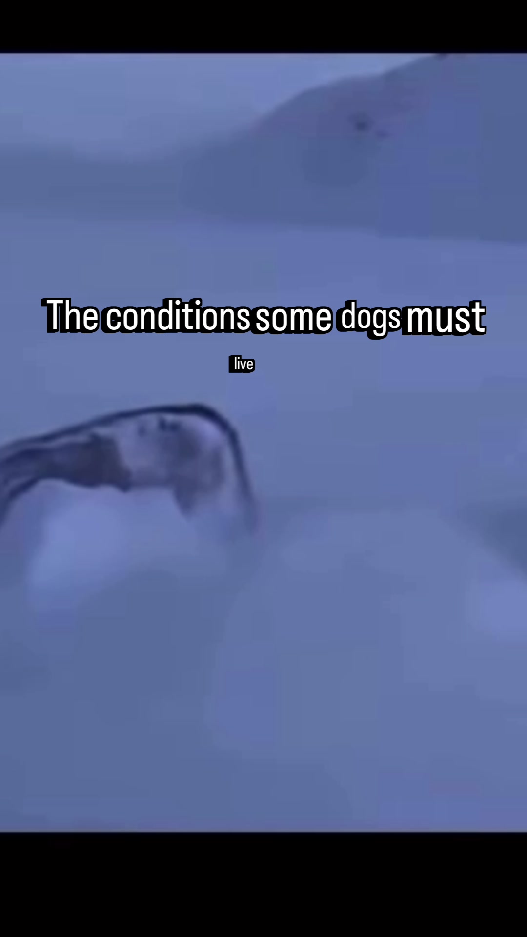 @hoganandcomedia