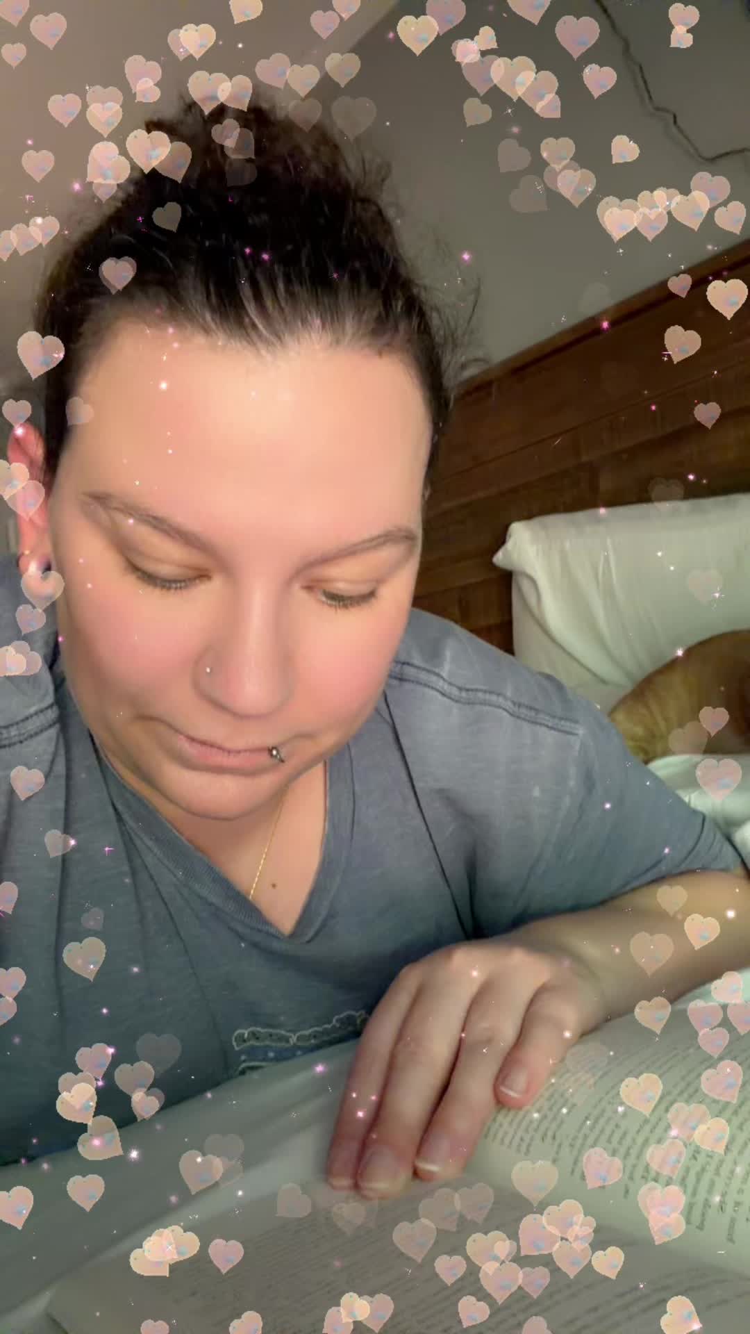 @Kitten 😸