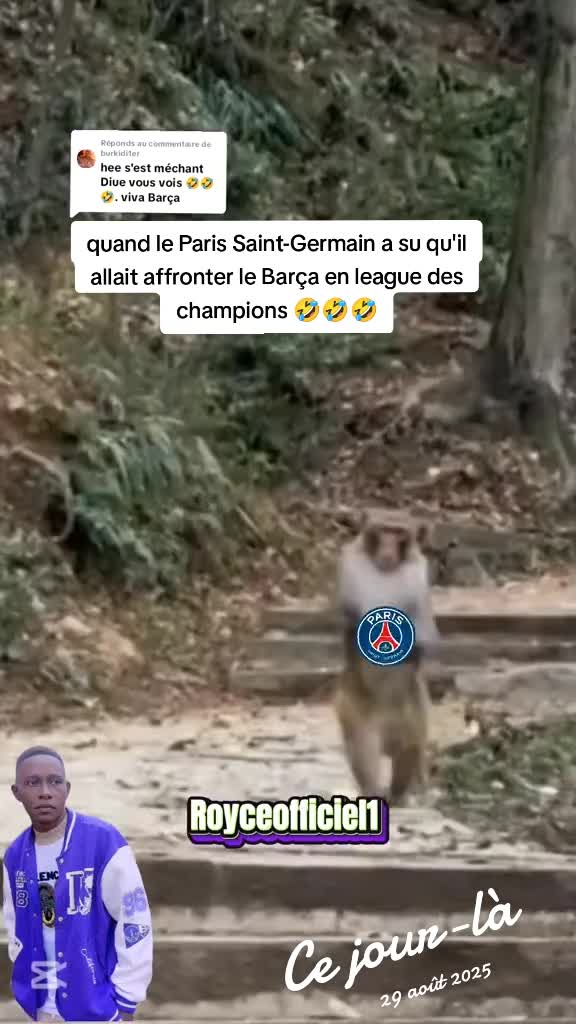 @Royceofficiel1