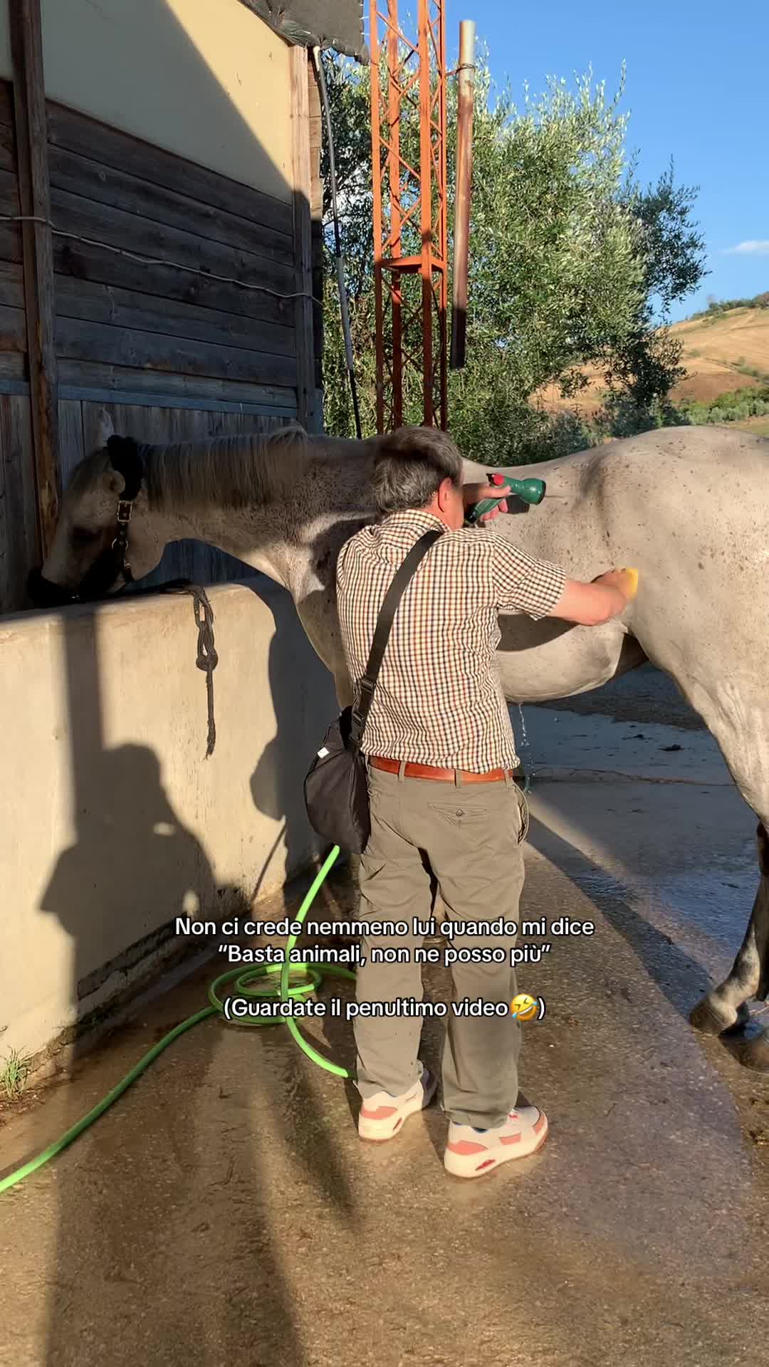 @equestrian_ale