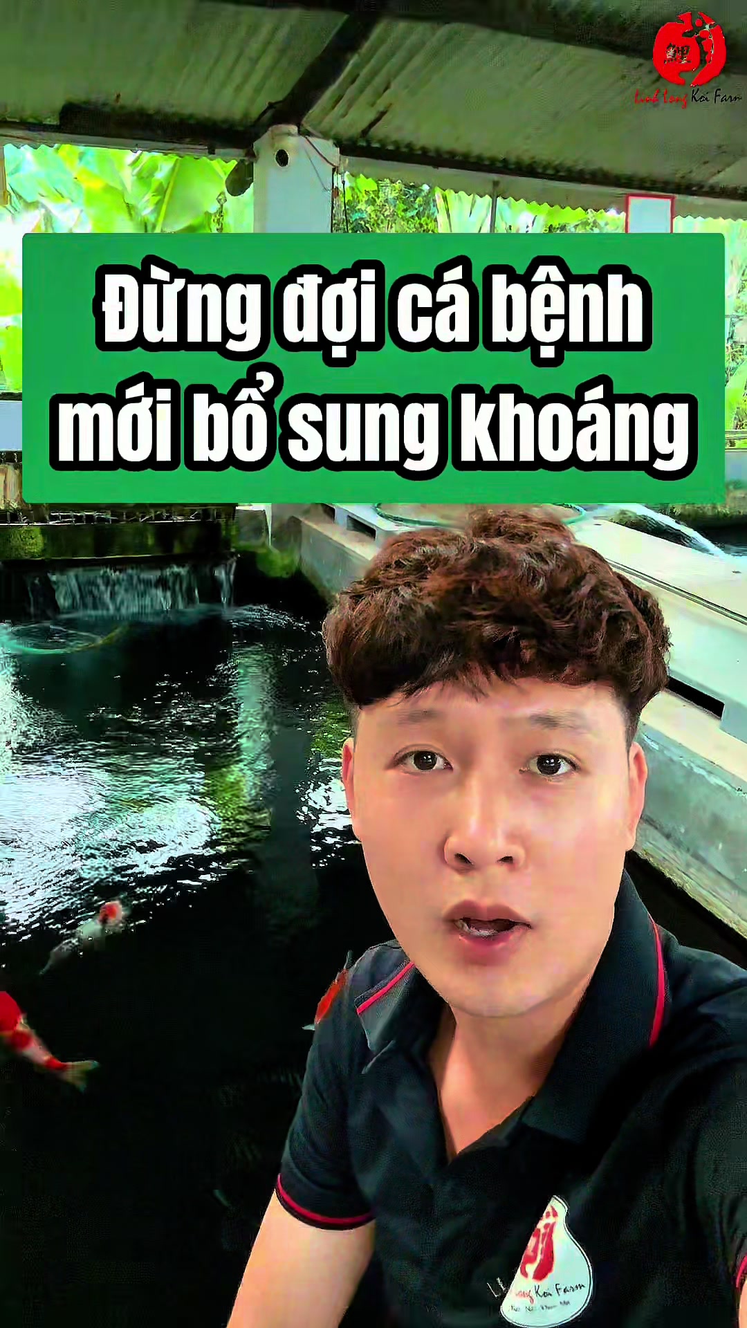 @Linh Long Koi Farm