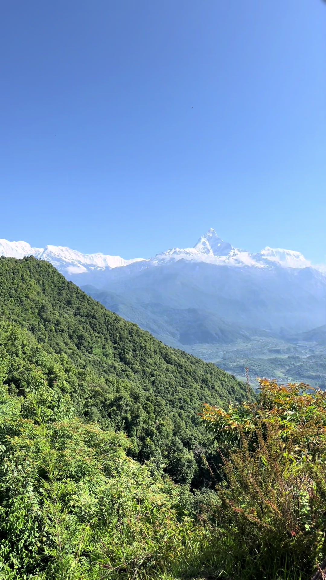 @Sudip Karki