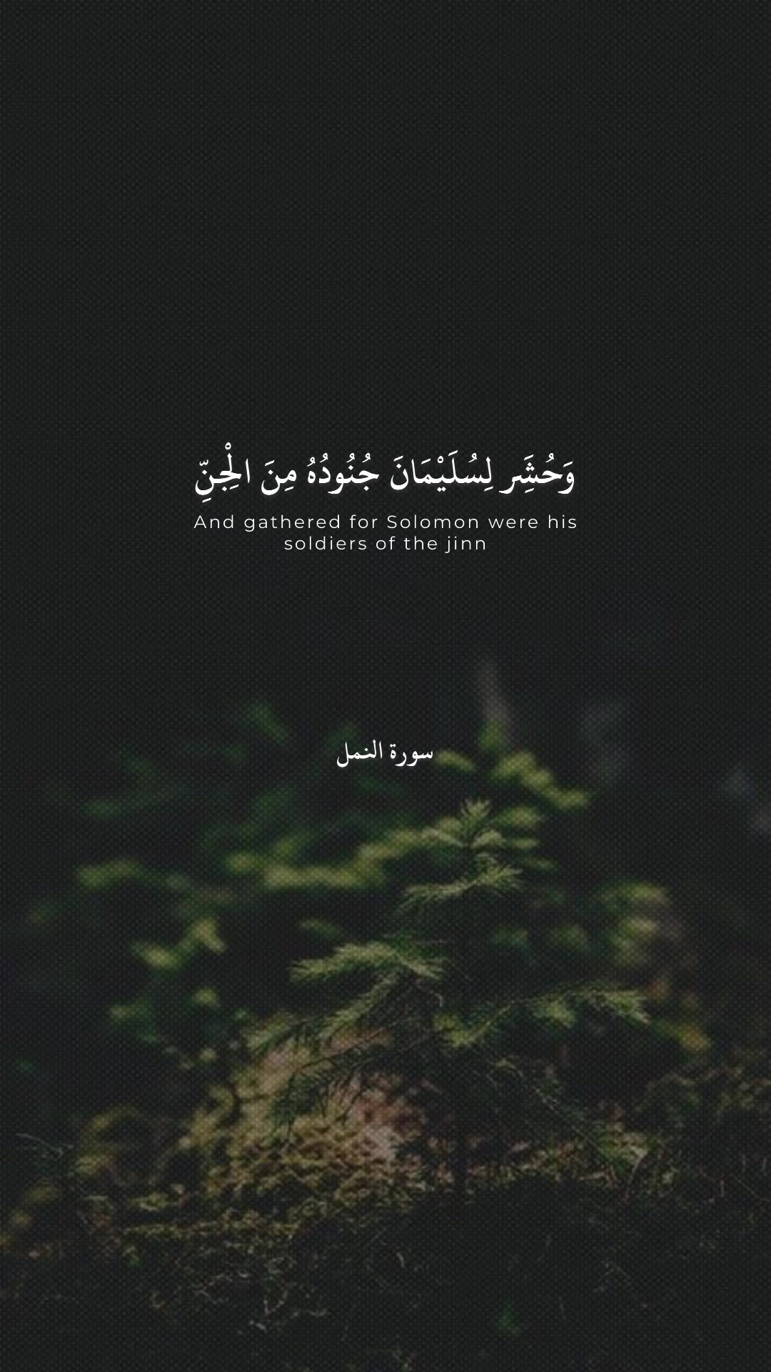 @قـــــــرآن