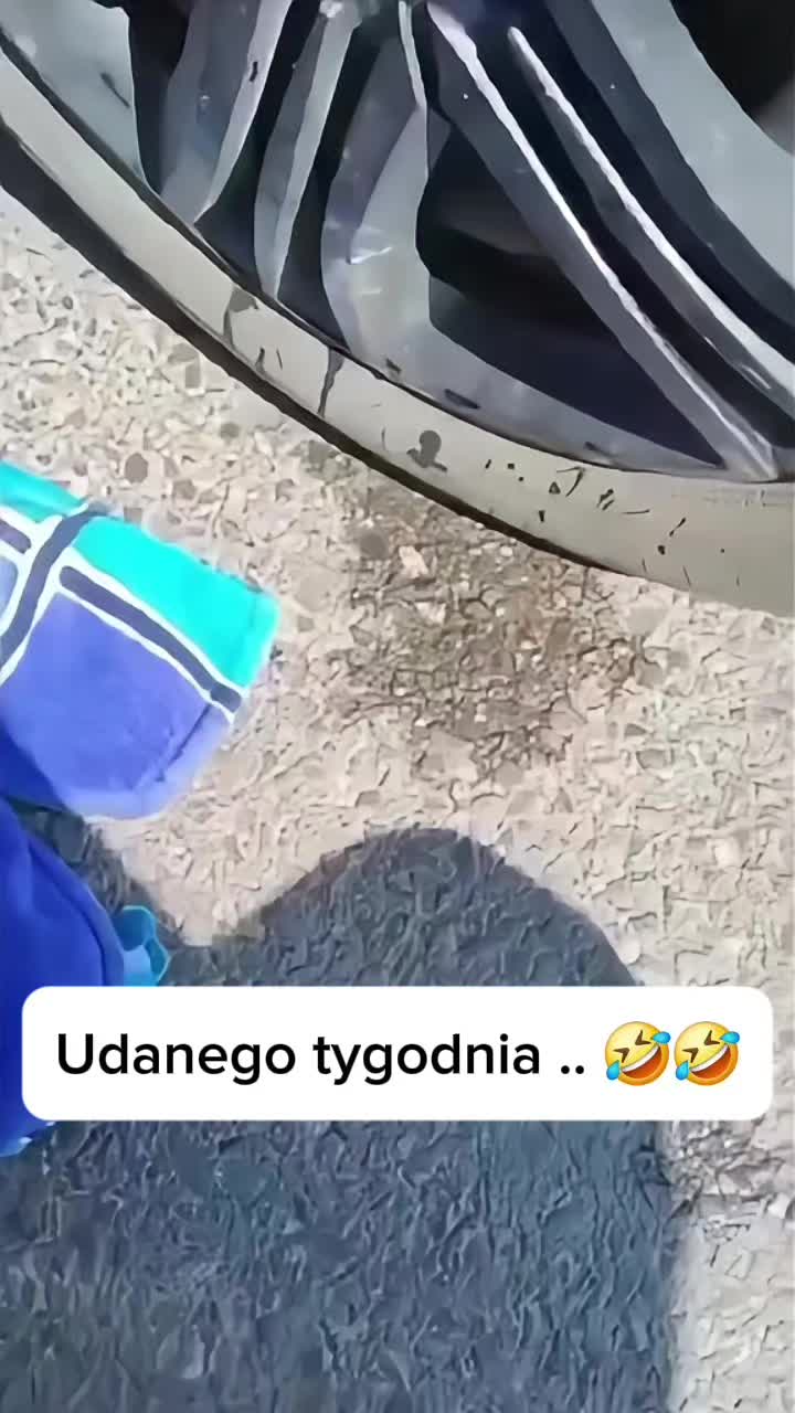 @Zdzichu👊