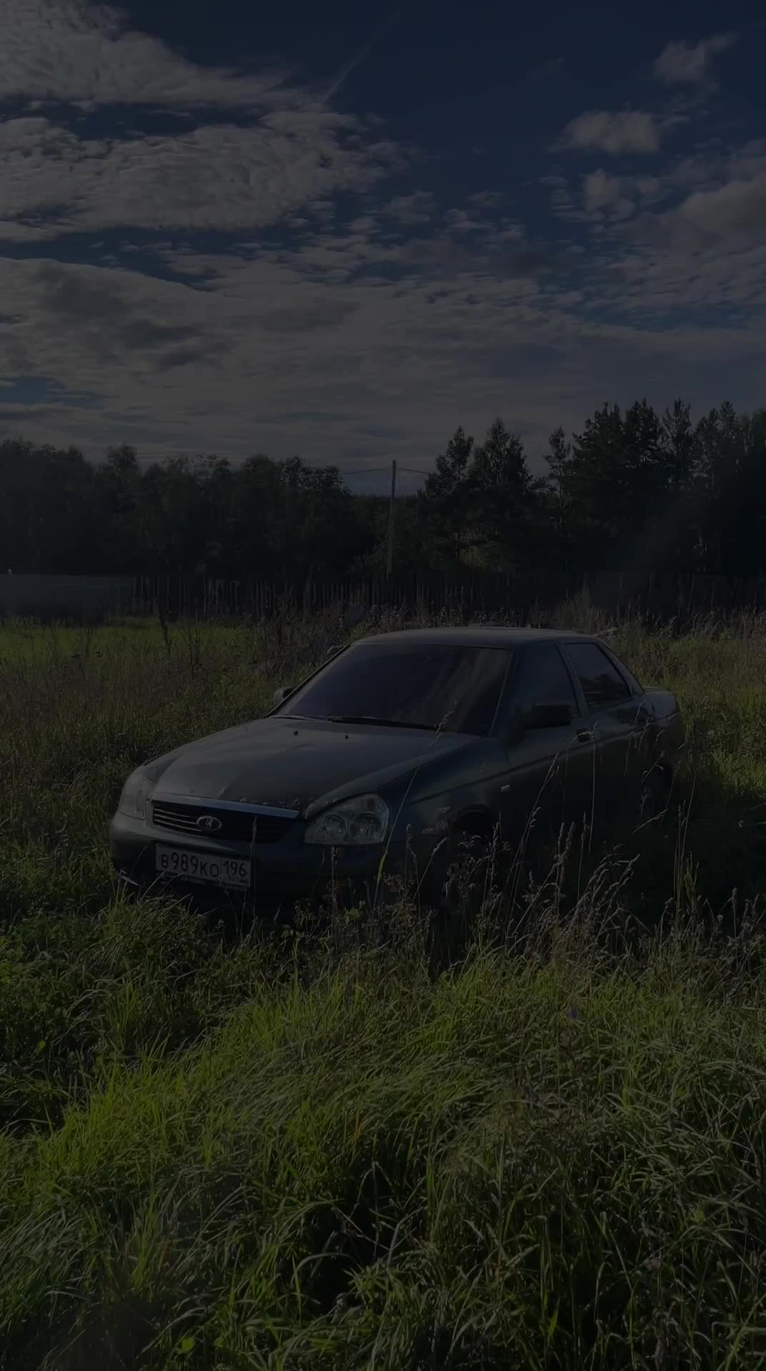 @дикий хуила