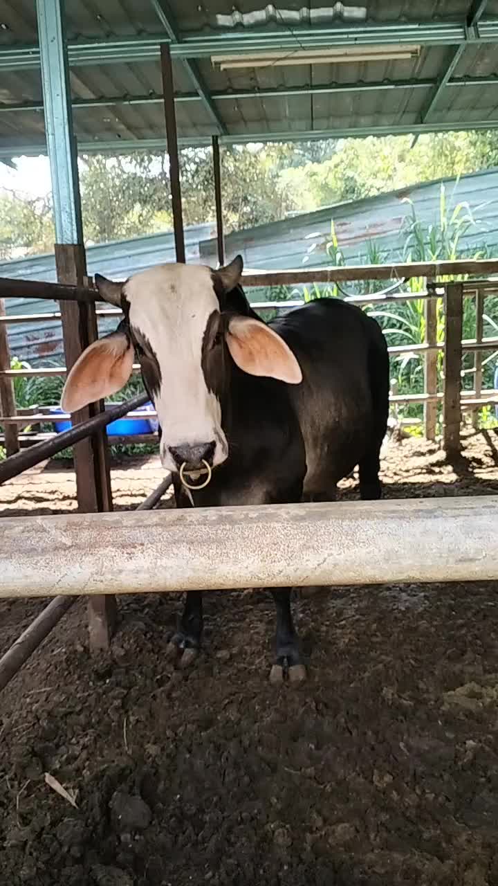 @user5501866124279