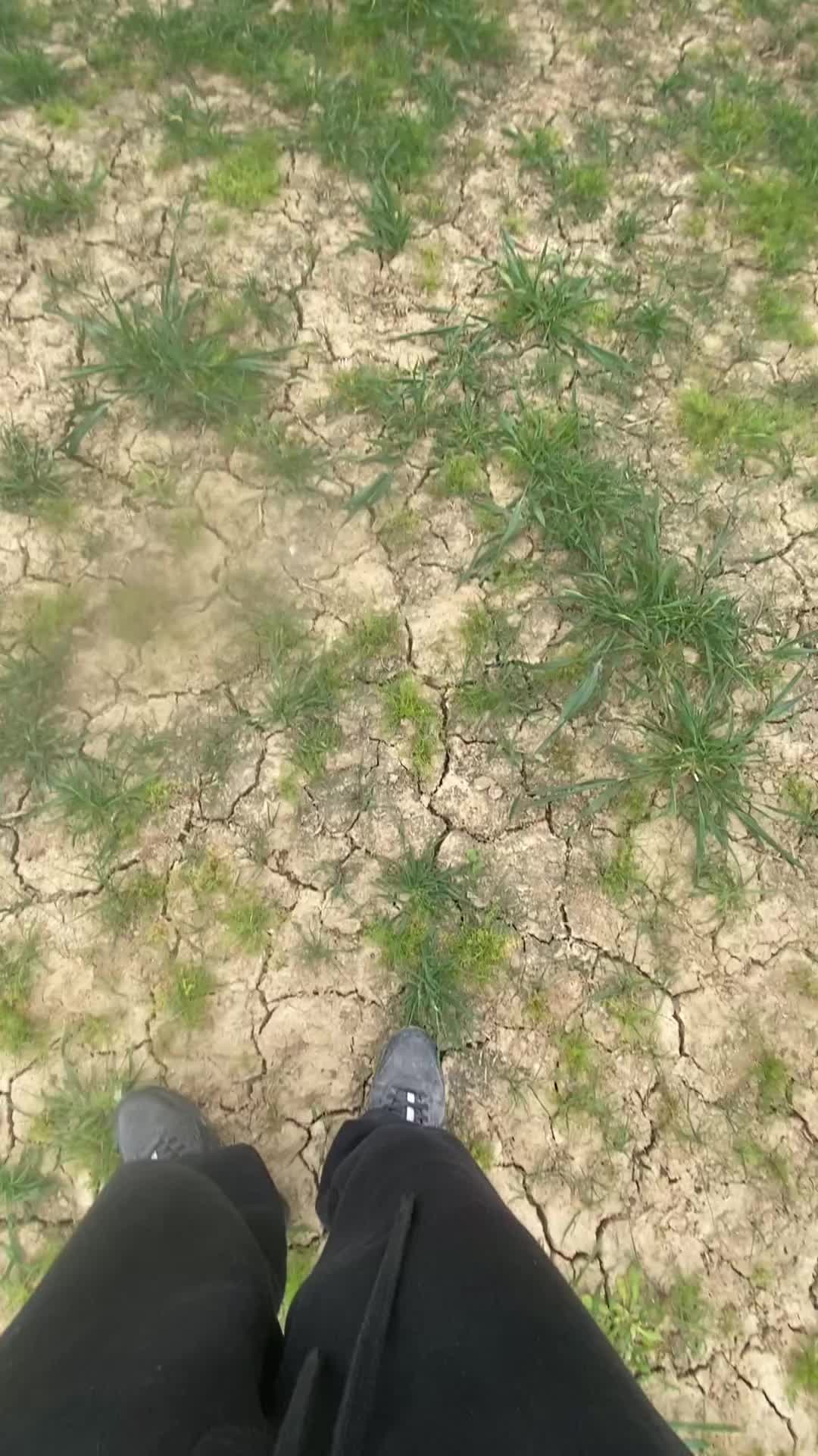 @S