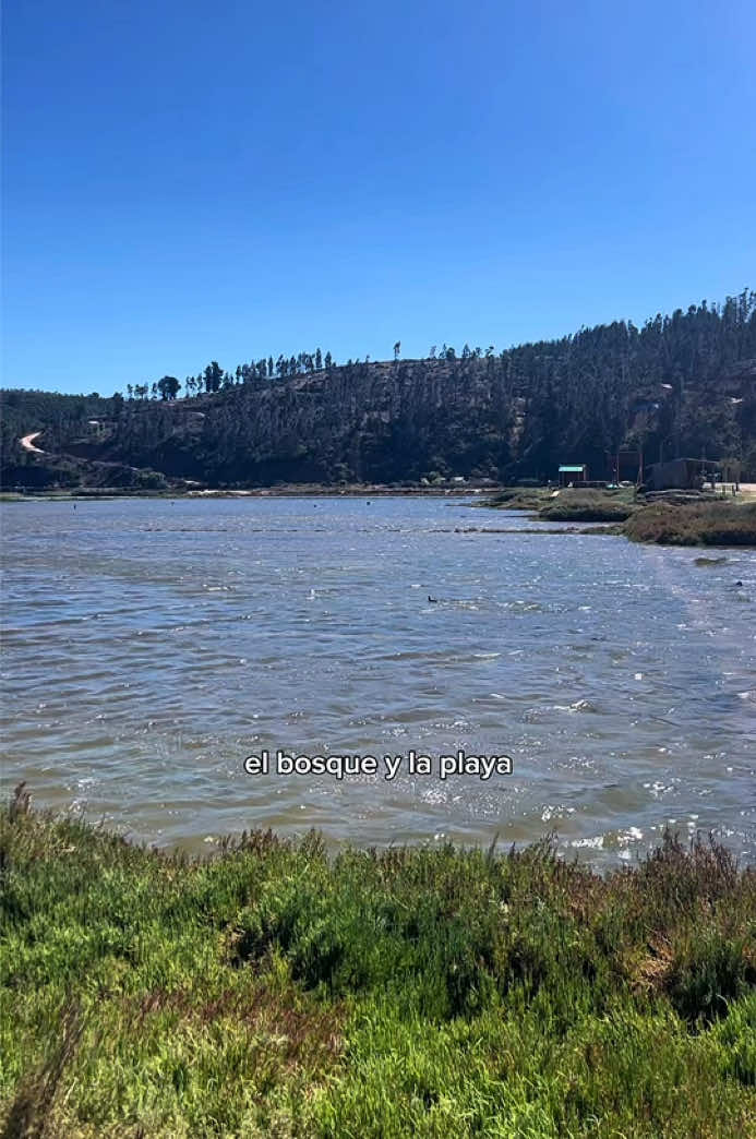 @𝘝𝘢𝘭𝘦𝘾𝙡𝙞𝙥𝙨
