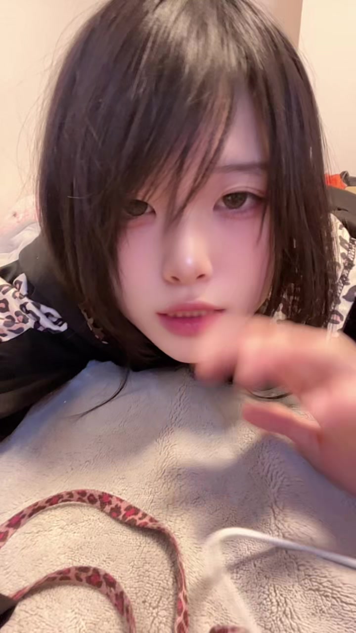@毒電波純露ハム太郎ヤクザ