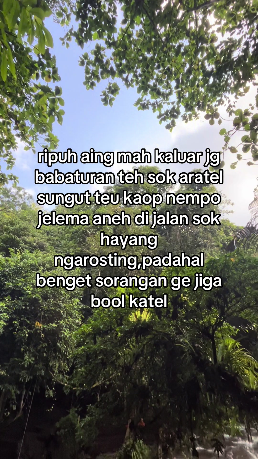 @Citumang wonderful