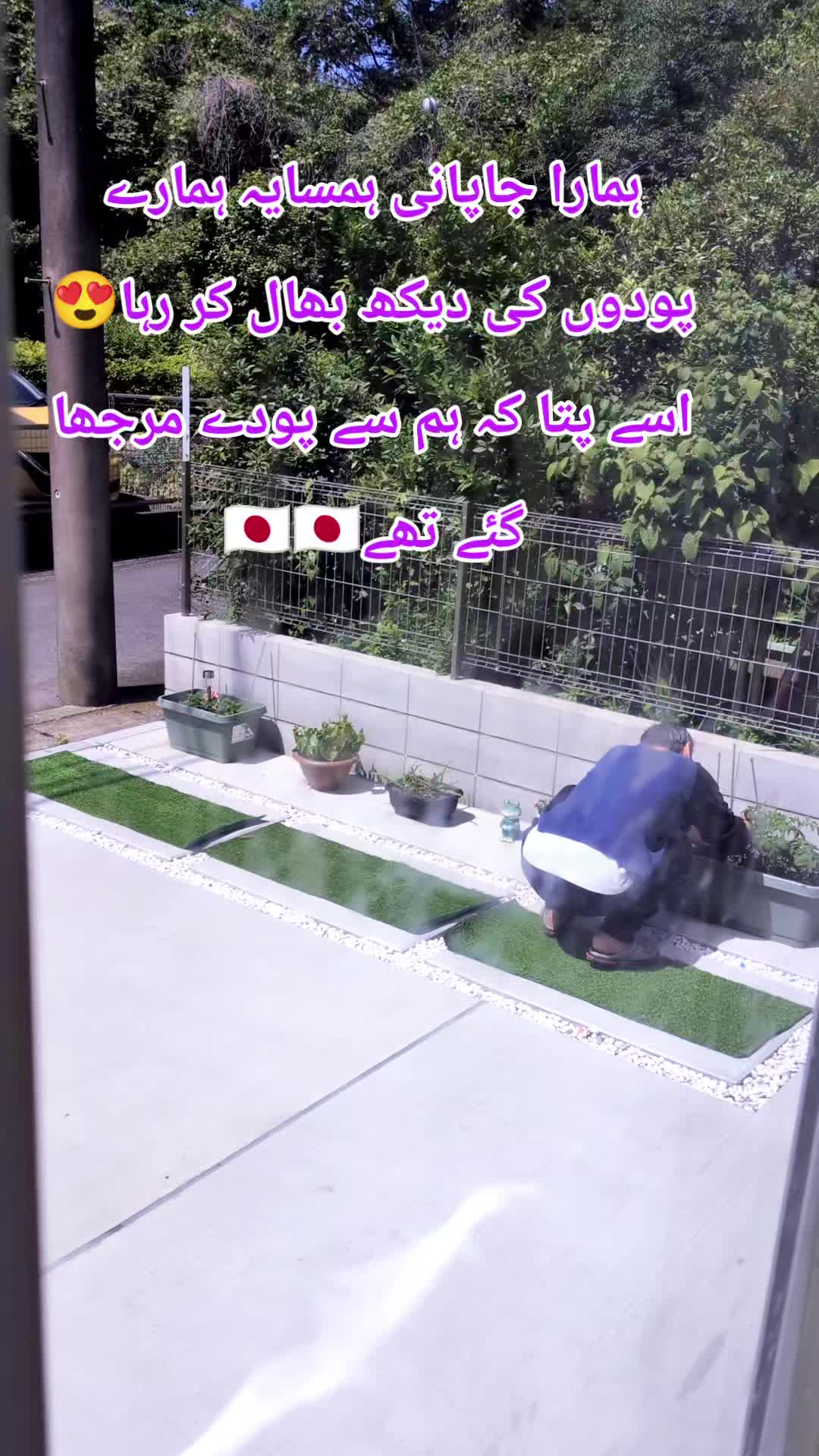 @Rumaisa Dogar Japan 🎌🇵🇰🇯🇵