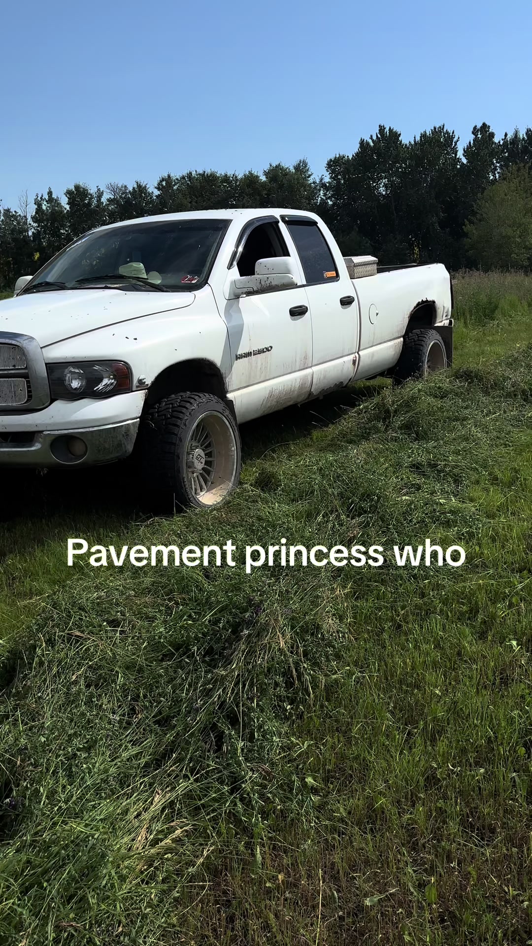 @3g_cummins