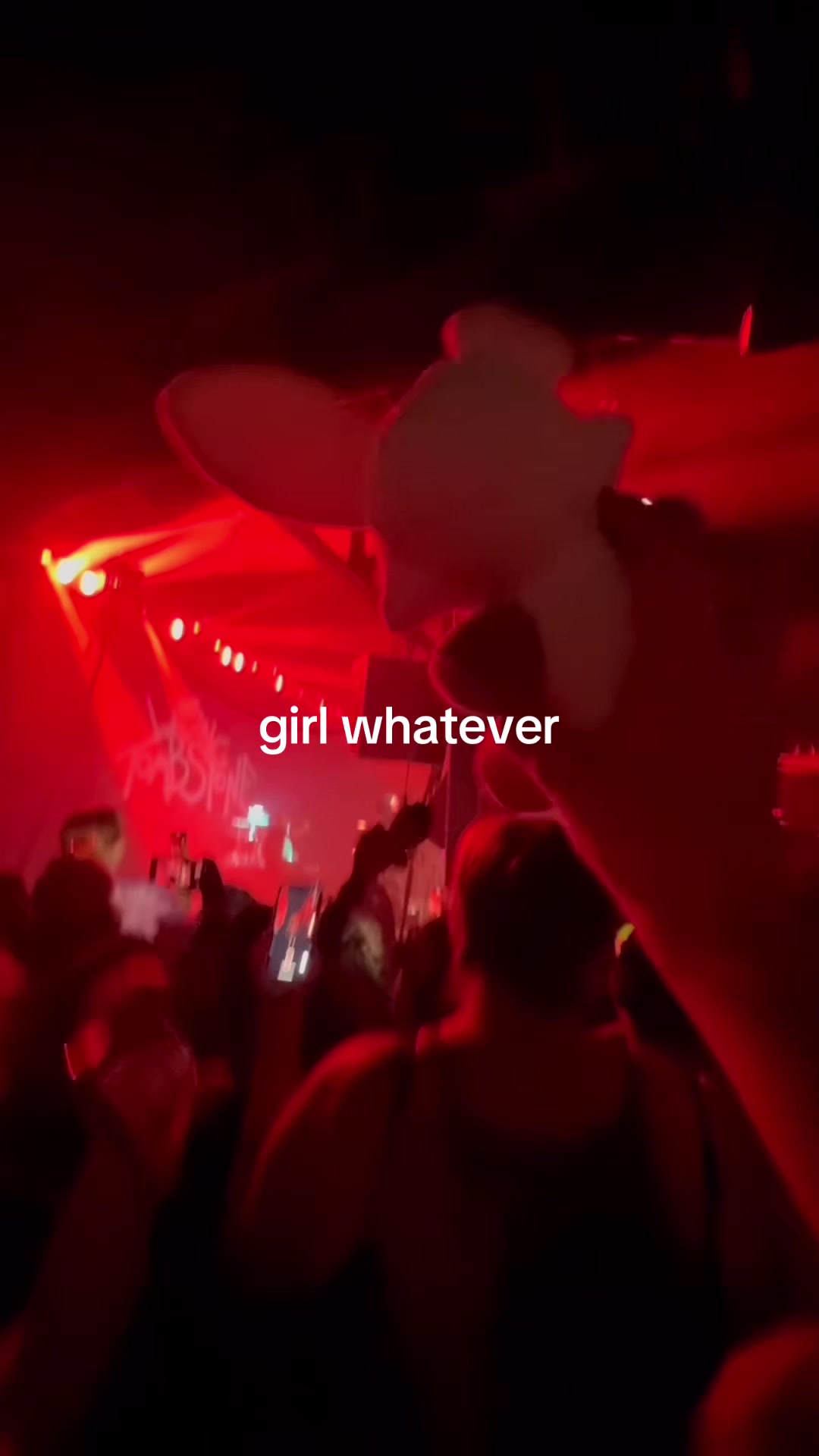 @meow