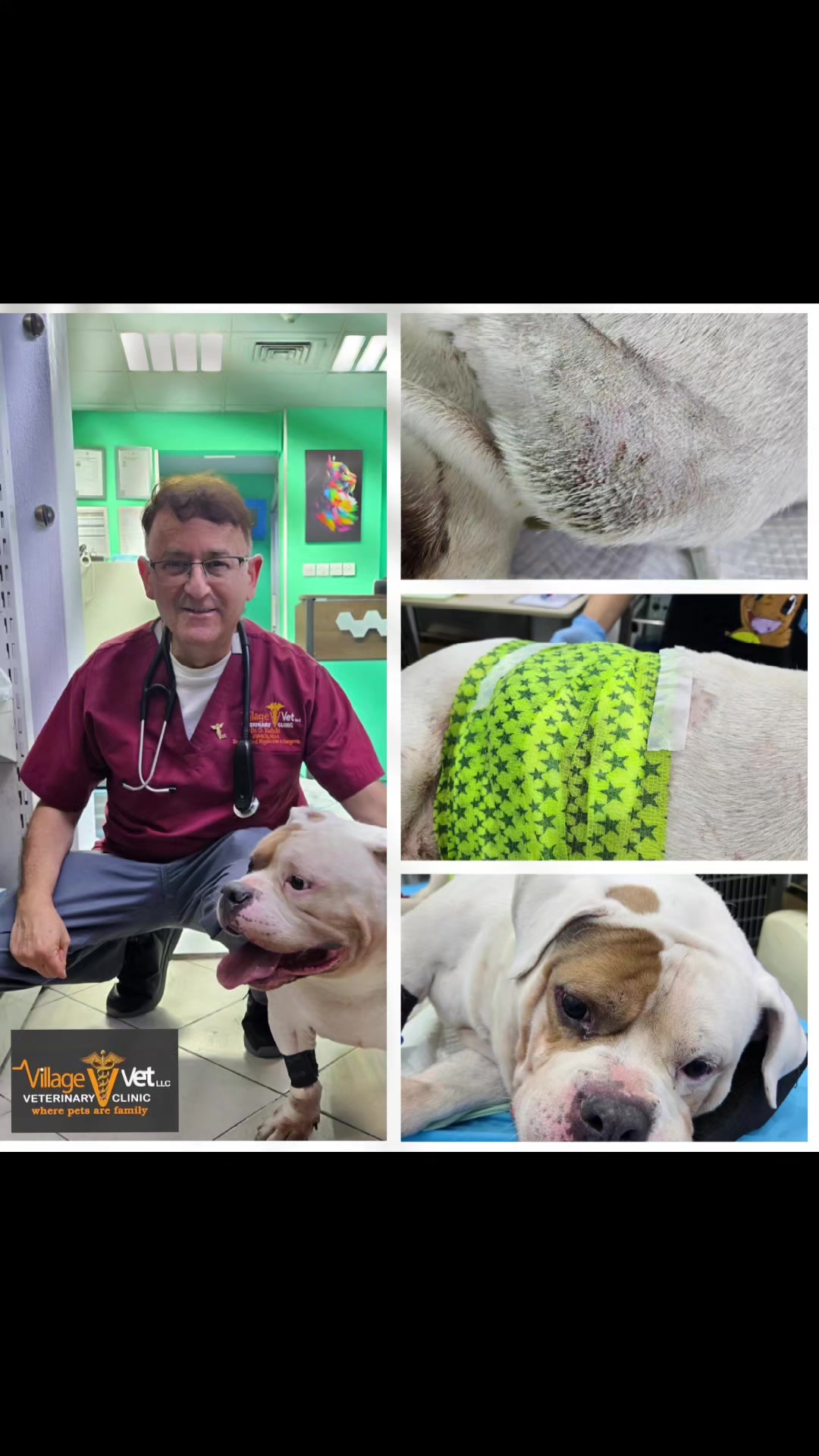 @VillagevVet LLC