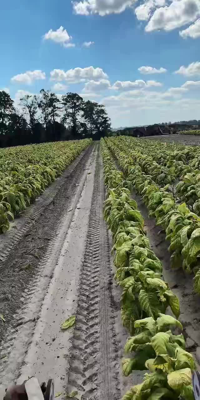 @Jwh farms