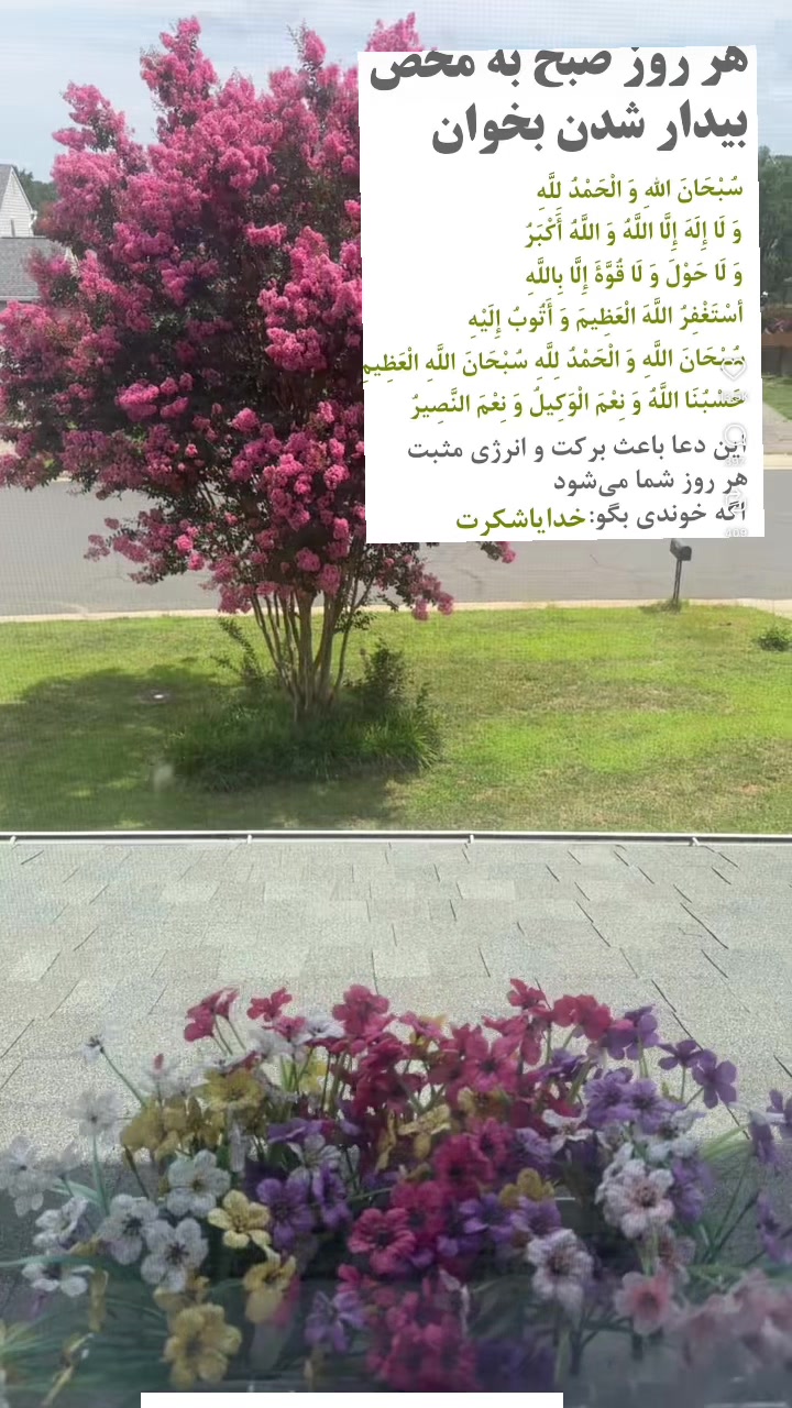 @🌸