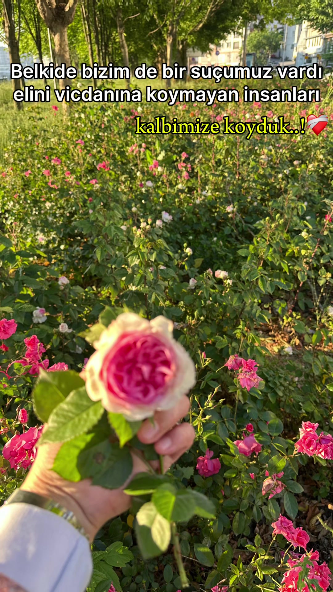 @58Tülay34
