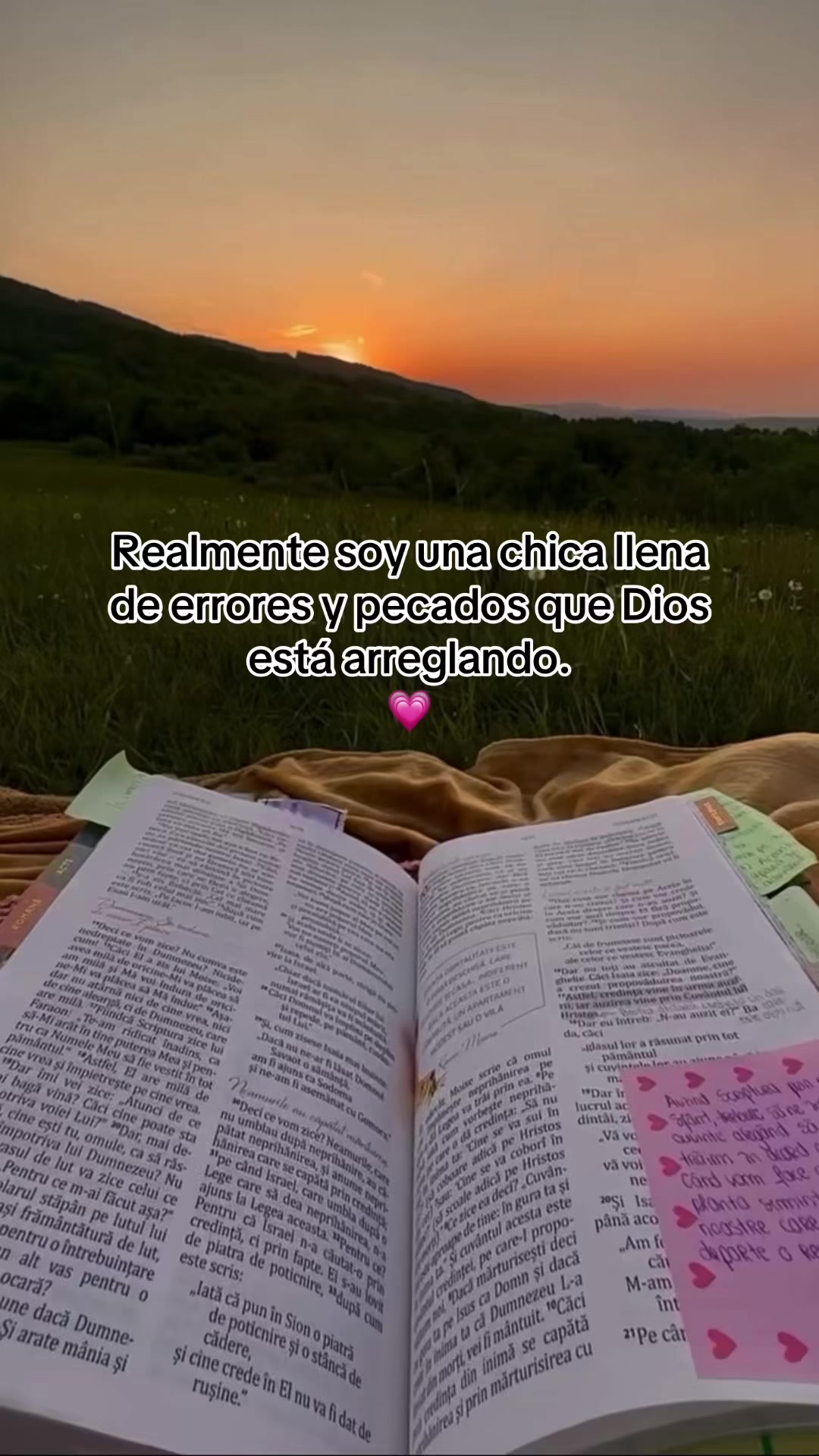 @Araceli Gómez Hdz❤️🩹