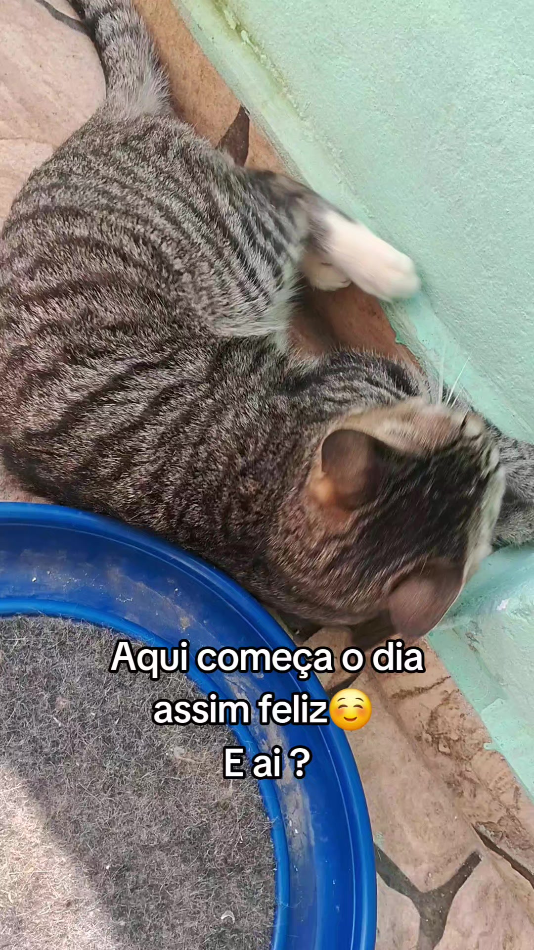 @lua