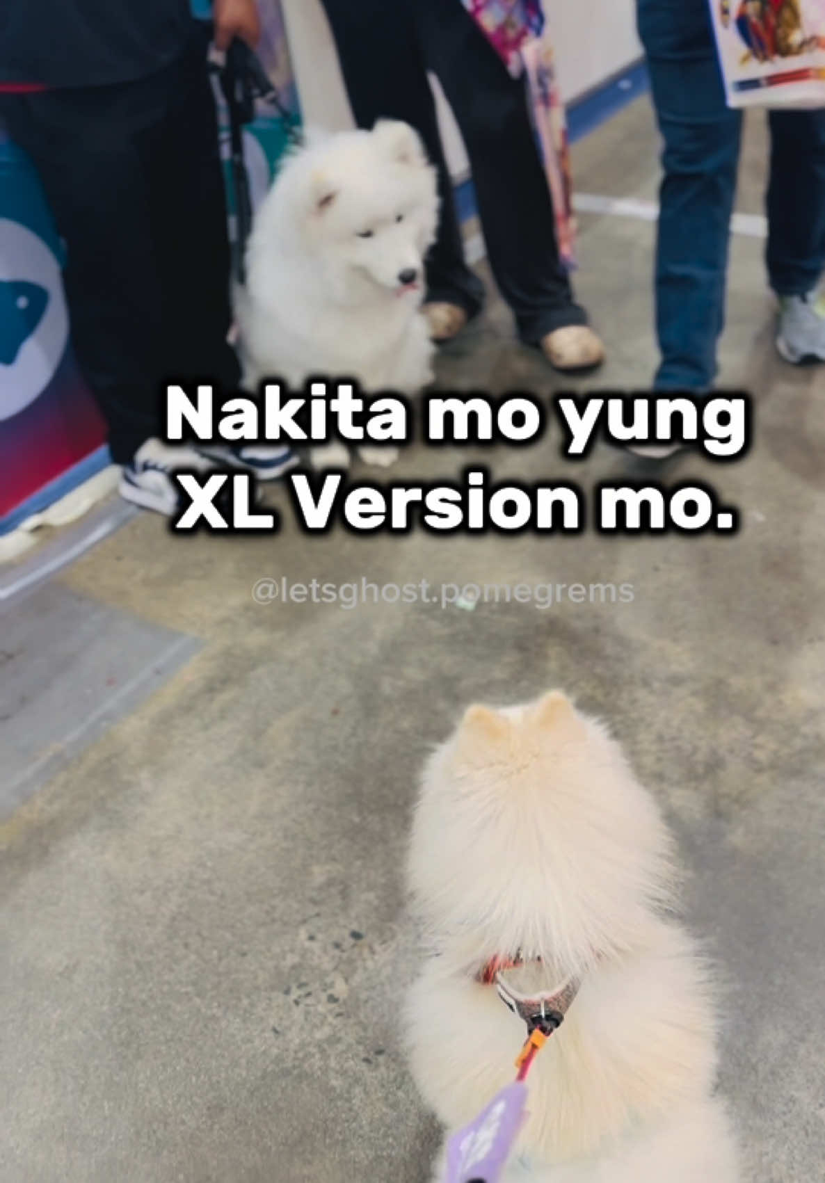 @G H O S T TheRunnerPom